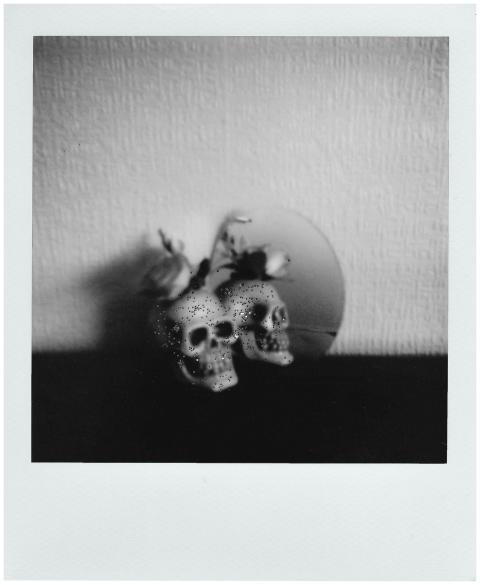 Monochrome image of skulls reflected in a mirror w