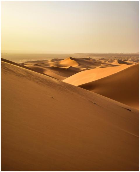 Stunning view of golden sand dunes under a serene