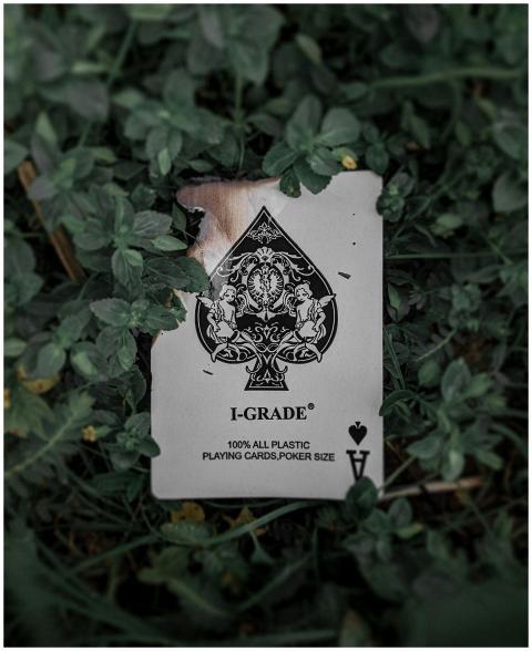 A burnt Ace of Spades card lies amidst lush green