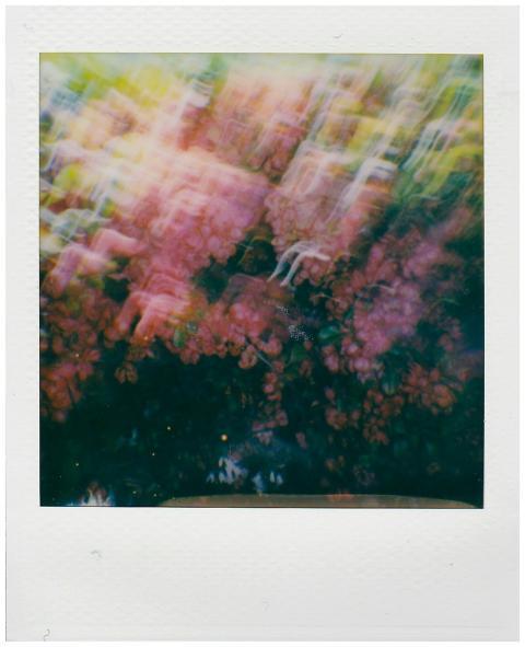 A captivating abstract image featuring a blurry mi