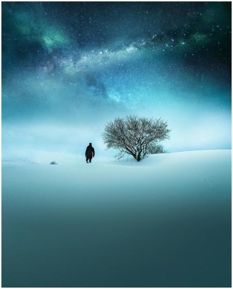 A solitary figure walks toward a tree under a vibr