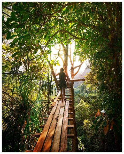 Experience adventure walking on a bridge through T