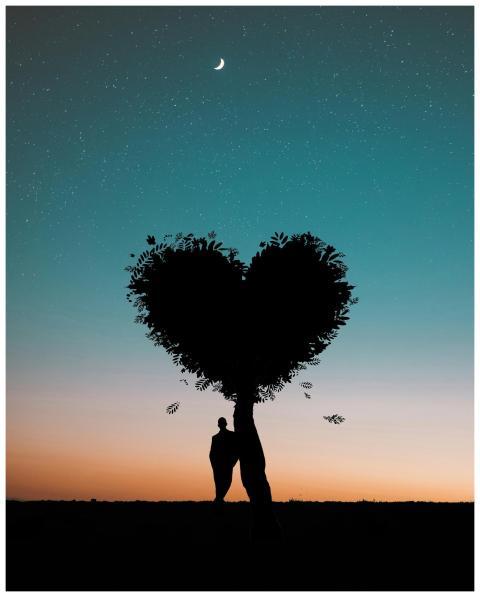 Silhouette of a person under a heart-shaped tree a