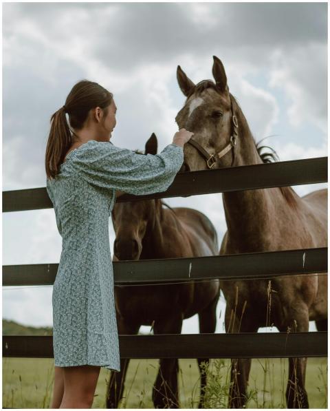 A woman gently pets horses by a wooden fence in a