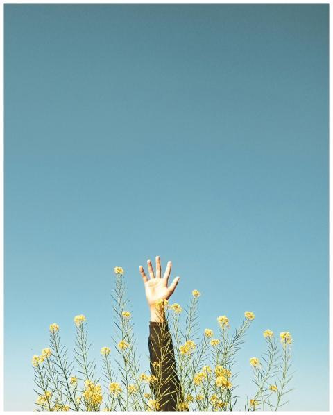 A minimalist photo of an arm stretching up among y