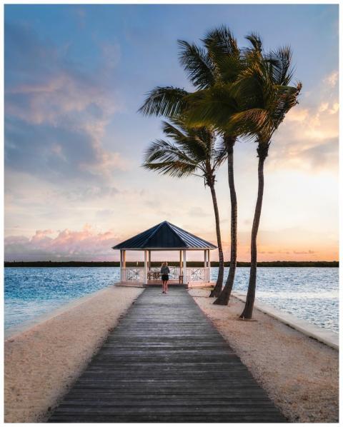 Relaxing tropical beach scene with a gazebo, palm