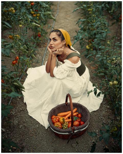 Young woman in a tomato field with a basket of fre