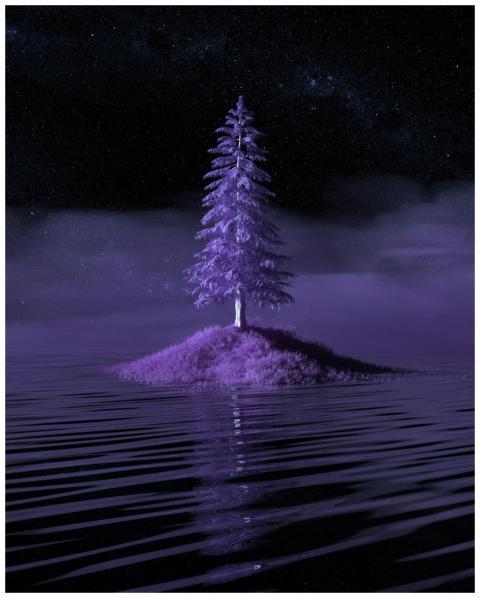 A surreal lone pine tree on a misty island with ri