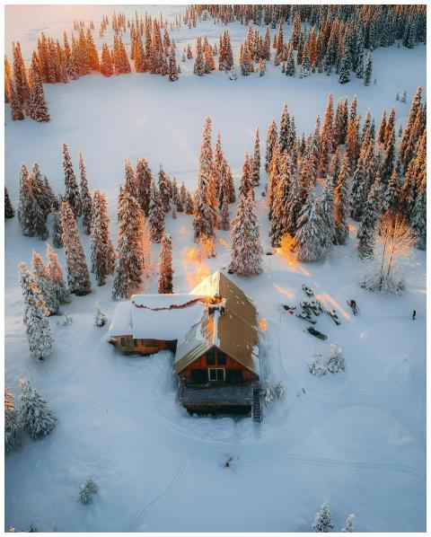 A breathtaking snowy cabin surrounded by tall ever