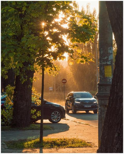 A sunlit urban street scene featuring SUVs and lus