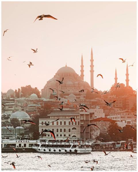 Istanbul skyline at sunset with birds soaring abov
