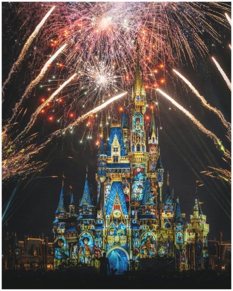 Dazzling fireworks illuminate the night sky above