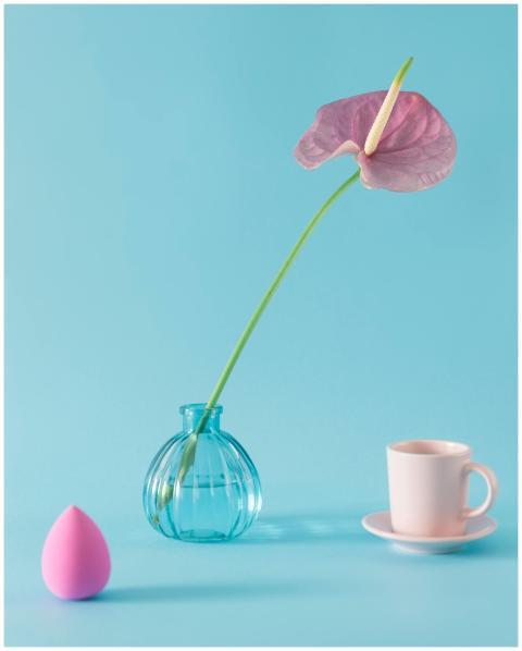 Composition of tender pink anthurium flower in vas