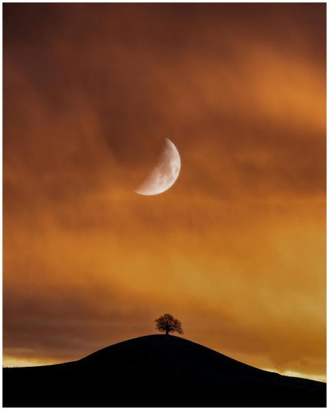 Stunning twilight scene featuring a half moon over