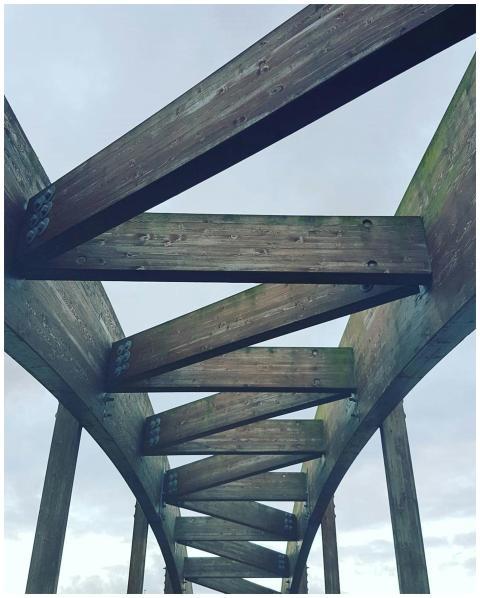 Dynamic view of a wooden bridge structure showcasi