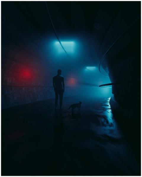 A silhouette of a person and dog in a misty, illum