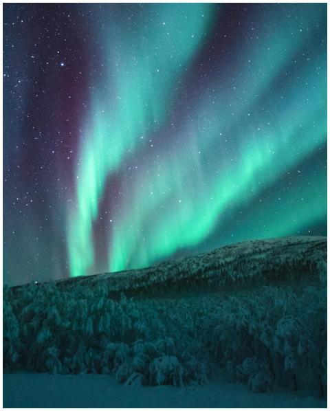 Vivid aurora borealis dances over a winter landsca