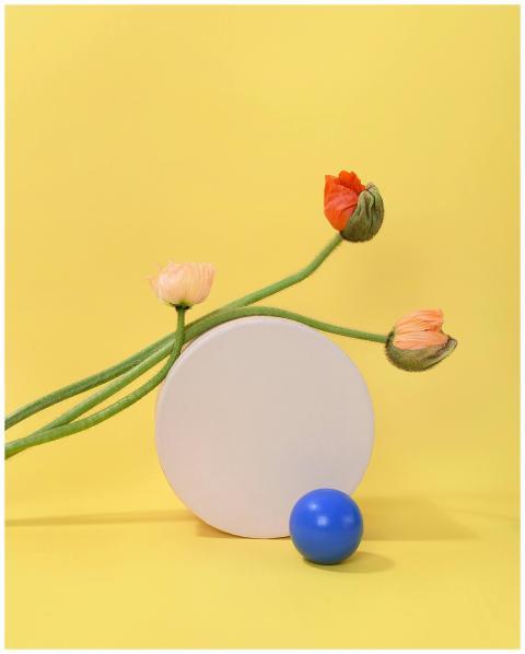Minimalistic floral arrangement with poppy flowers