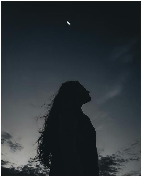 Low angle side view of silhouette of serene long h