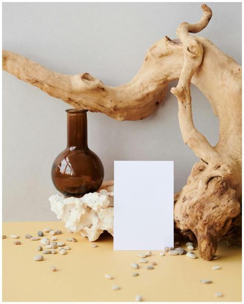 Creative still life arrangement with driftwood, a