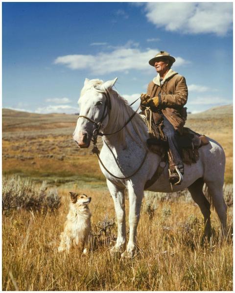 A cowboy rides a white horse with a loyal dog comp