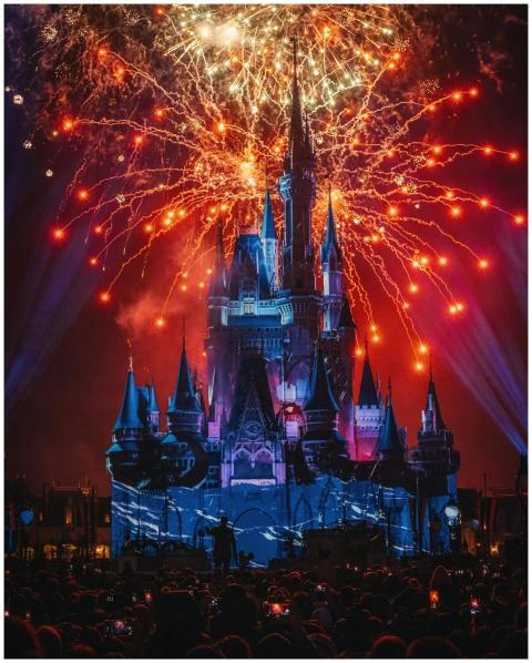 A stunning night view of fireworks illuminating a