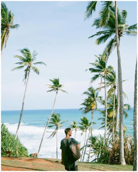 A man explores a tropical beach with tall palm tre