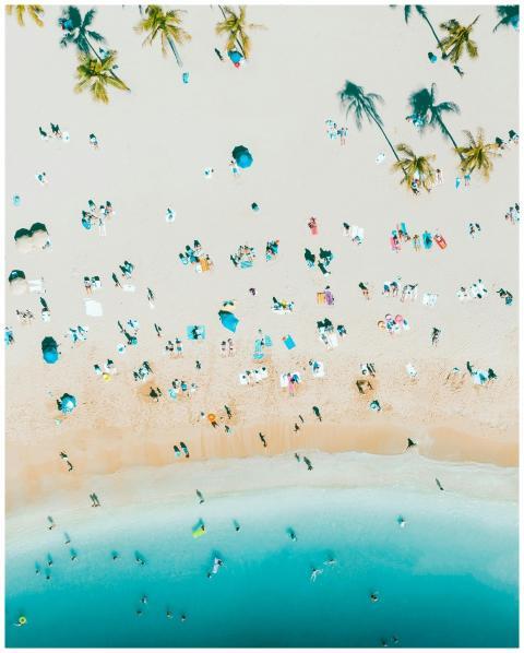 Stunning aerial shot of Waikiki Beach with palm tr