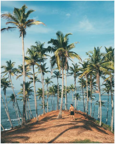 Man walking amidst coconut palms by the ocean in M