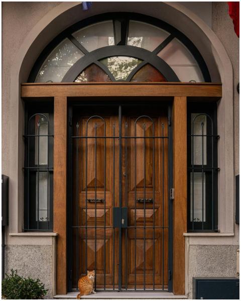 European-style arched entrance with a ginger cat a