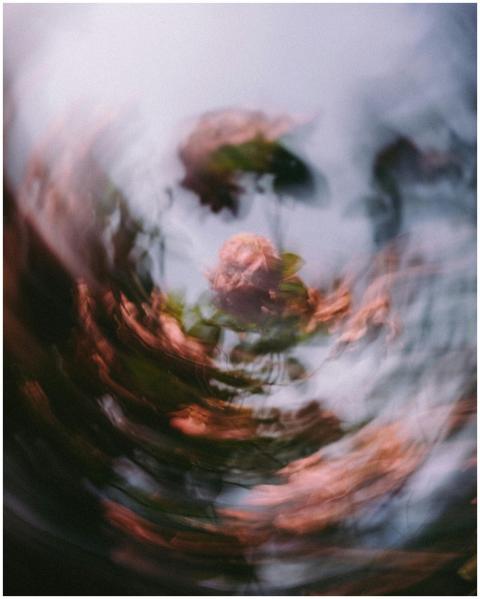 Abstract image capturing swirling pink blossoms wi