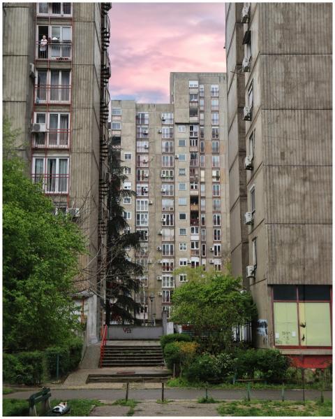 Residential apartment buildings framed by greenery