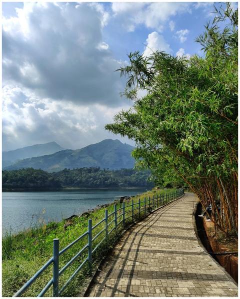 A paved lakeside walkway bordered by a dense row o