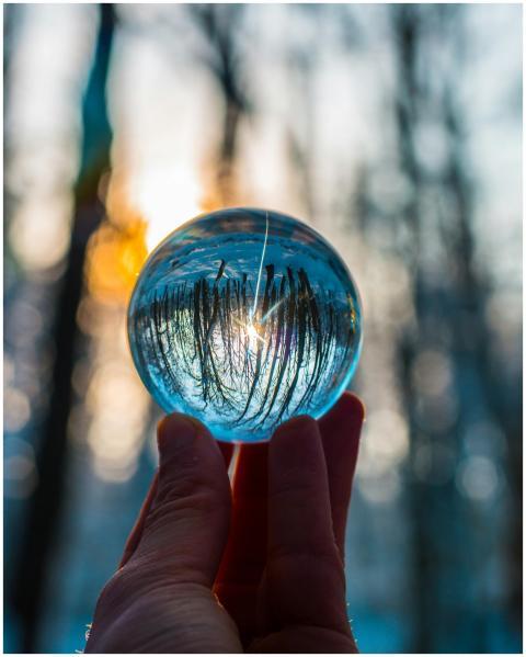 A hand holds a crystal ball reflecting a forest at