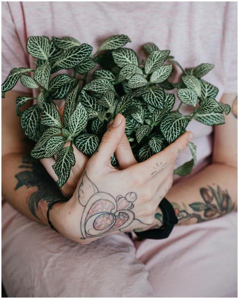 Close-up of tattooed hands holding a lush green Fi