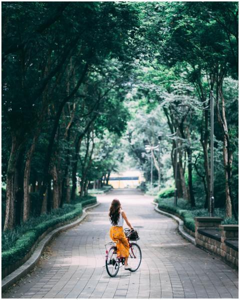 A woman rides a vintage bicycle along a tree-lined