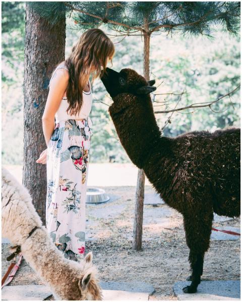 A woman engages playfully with a llama in a sunny
