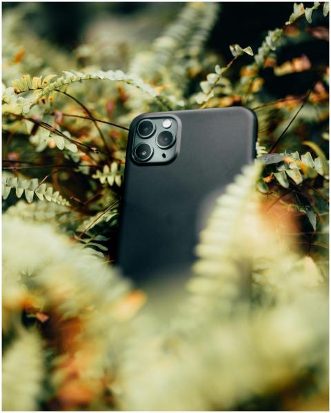 Close-up of a smartphone nestled in ferns, showcas