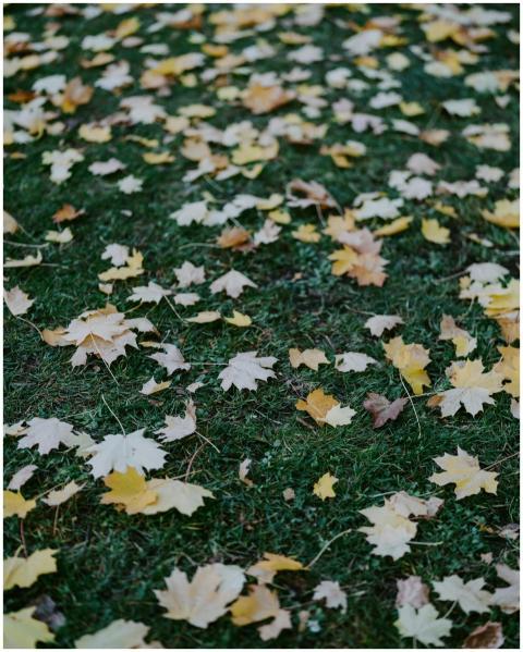 Free stock photo of branc, case, colorspot