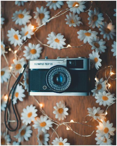 A classic analog camera surrounded by daisies and