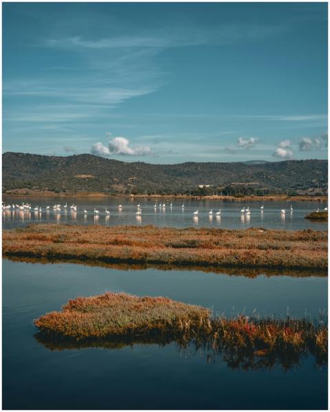 A picturesque lake with flamingoes and hills under
