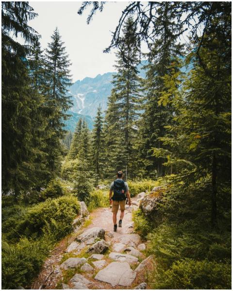 Man hiking on a forest trail in Tatra Mountains, P
