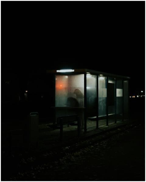 A solitary figure waits at a dimly lit bus stop in