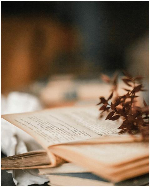 A vintage open book with delicate depth of field a