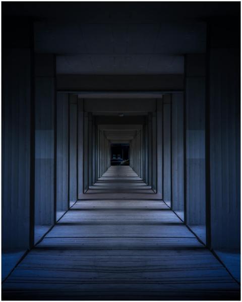 A dramatic view of a modern hallway with symmetric