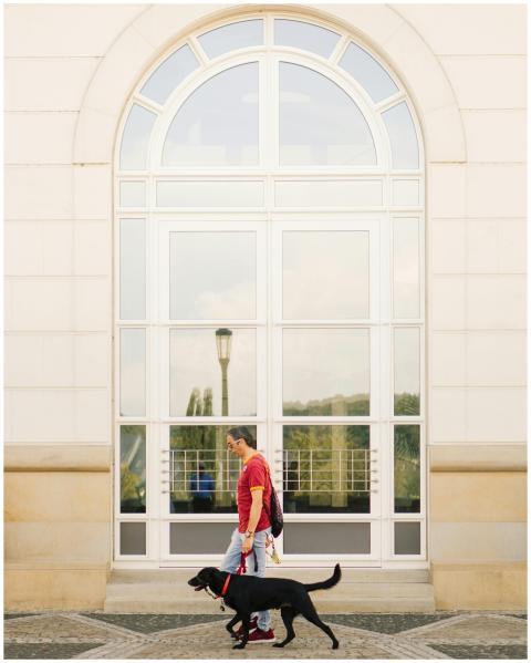 Man Walking Dog Large