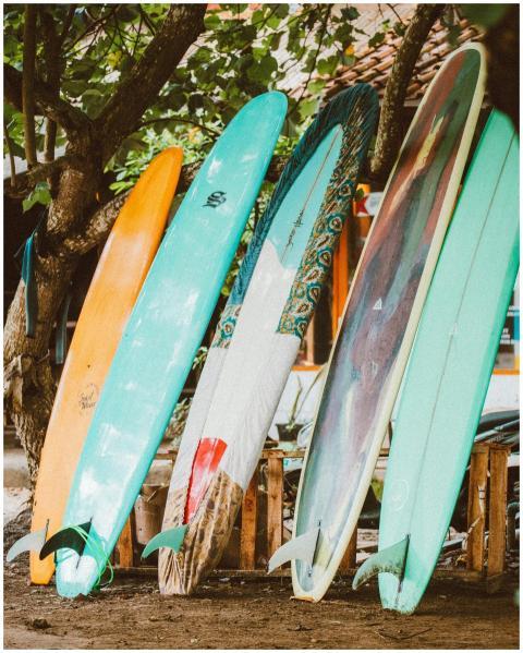 Vibrant surfboards lined up under a tree, perfect