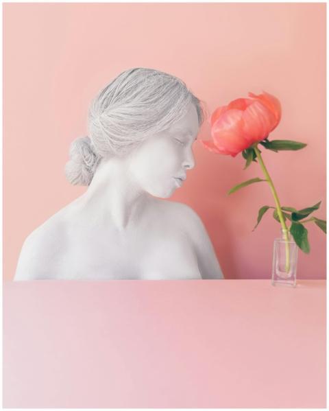 Composition of tender pink flower placed near whit