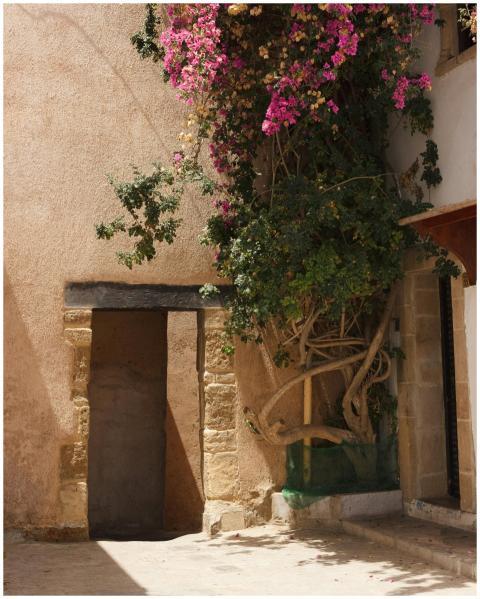 Charming Mediterranean Courtyard Vivid