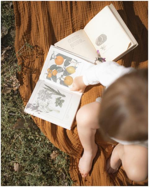 A toddler examines botanical illustrations in an o
